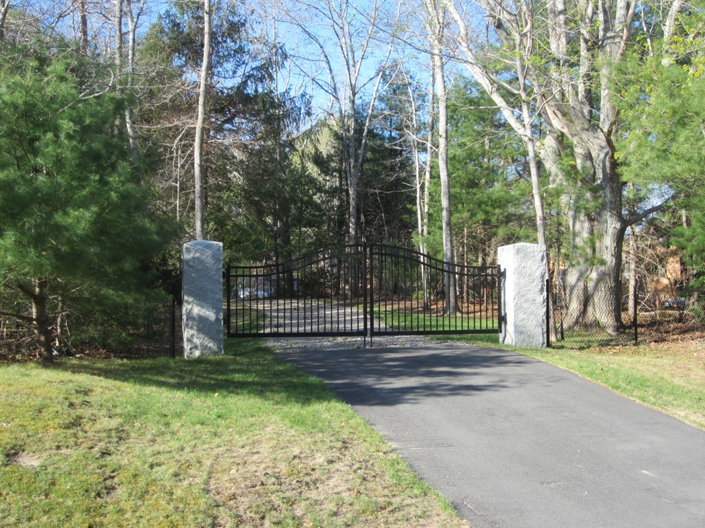 a view of a park with large trees