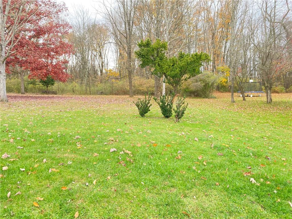 a view of yard with tree