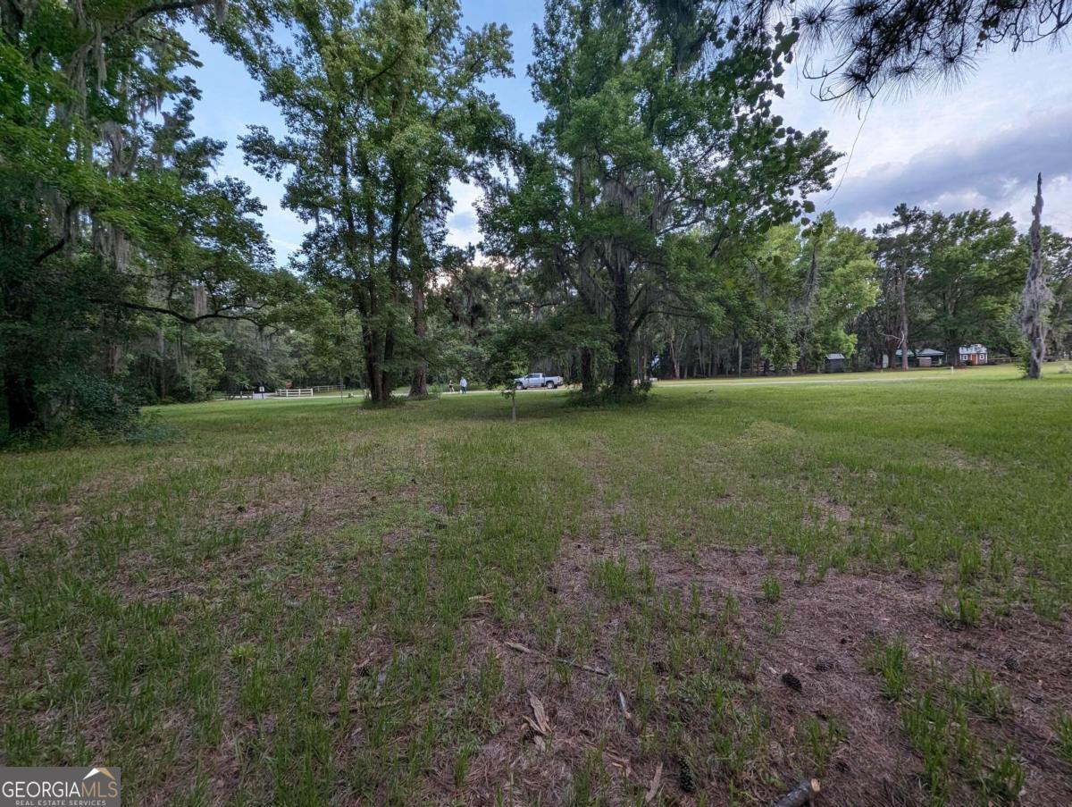 a view of a field with trees in the background