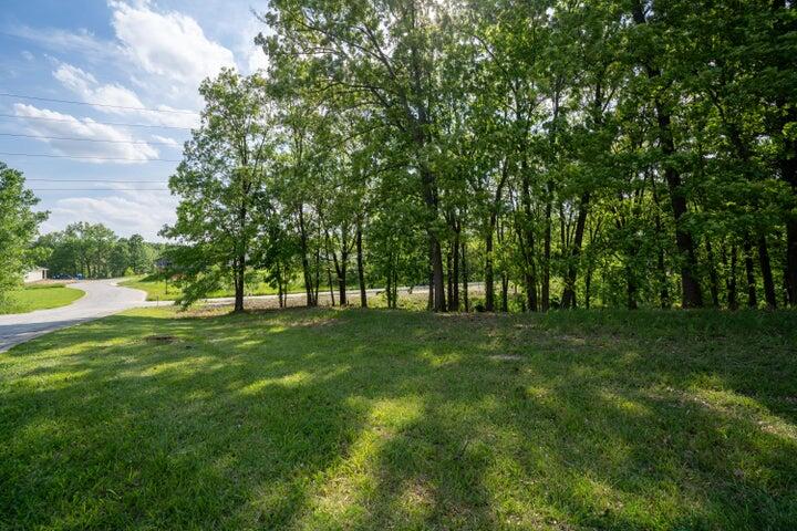 a view of a trees with a big yard