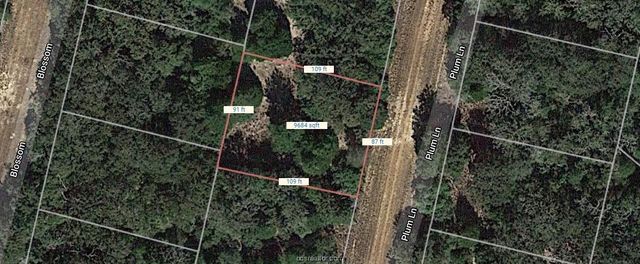 $8,800 | Lot 32 Plum Lane | Hilltop Lakes