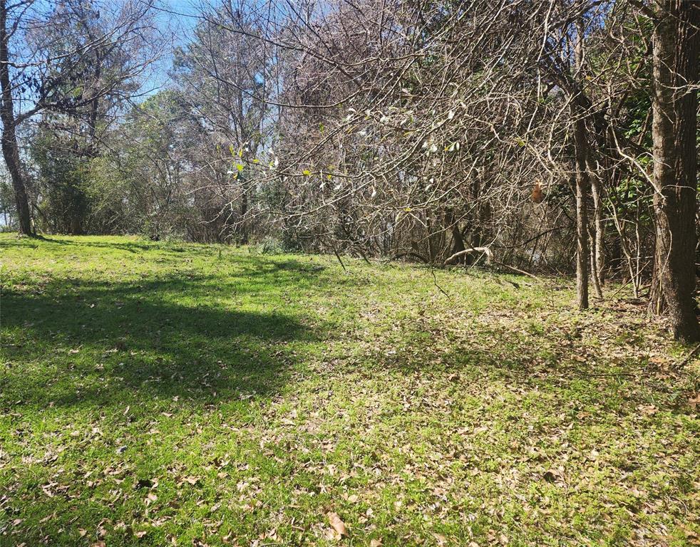 a view of a yard with a trees