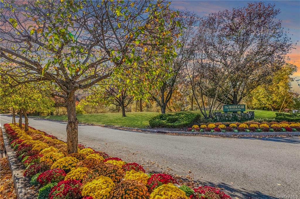 a view of street with flower plants