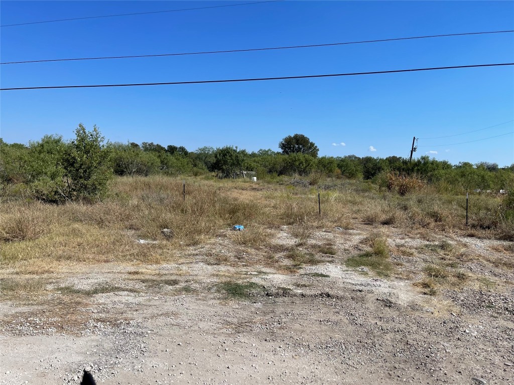 a view of a dry yard with trees in the background