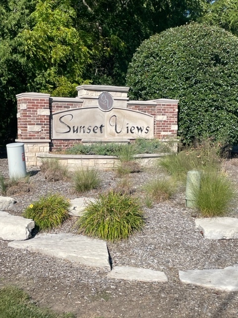 a view of a park with plants and trees