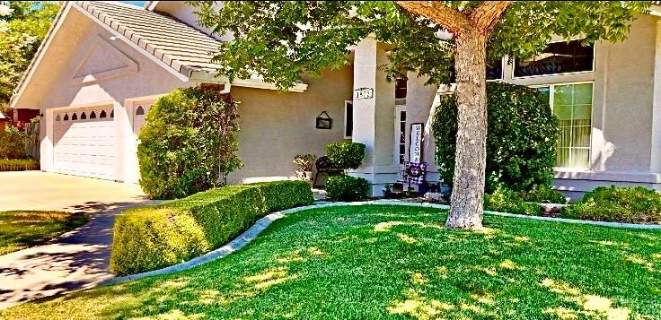 a view of a house with a yard and plants