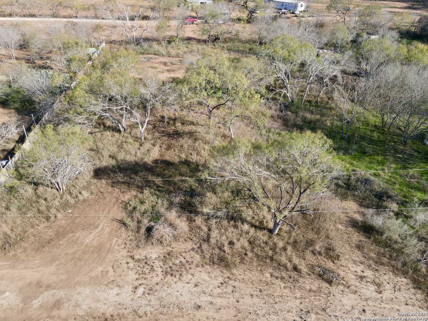 a view of a yard with a tree