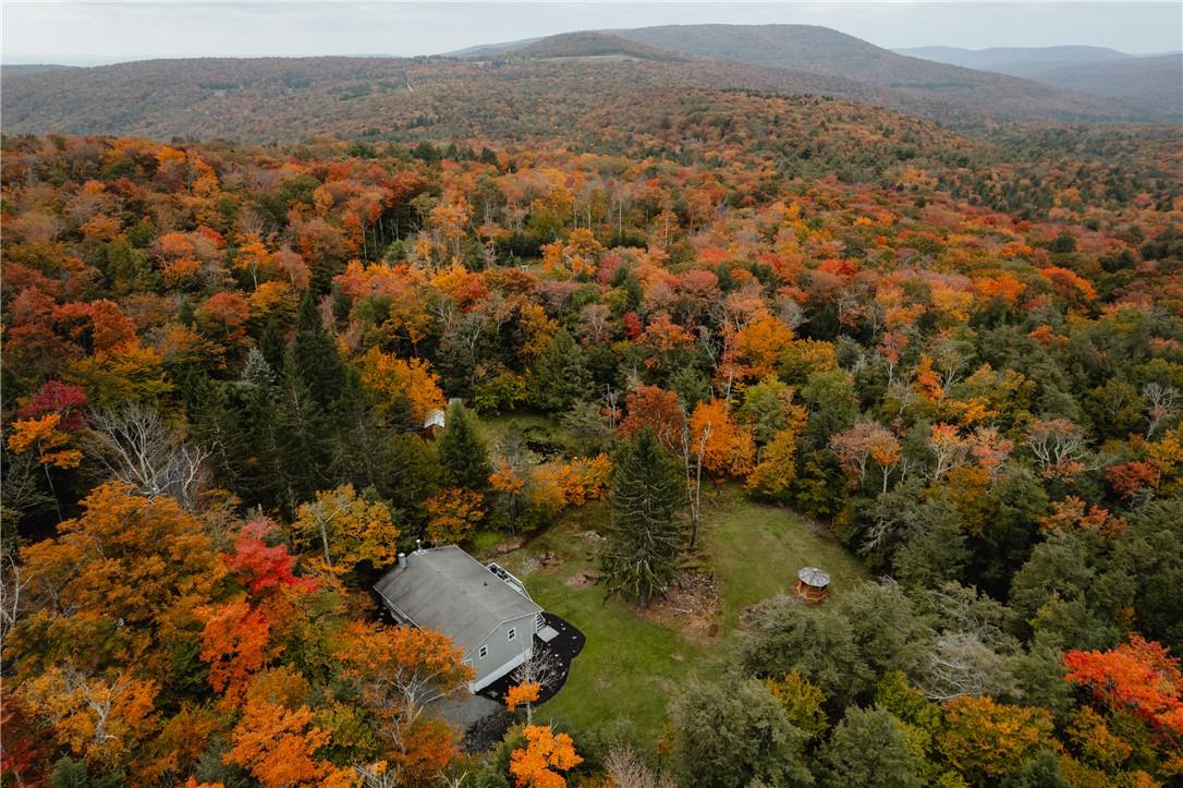 Aerial view featuring a mountain view