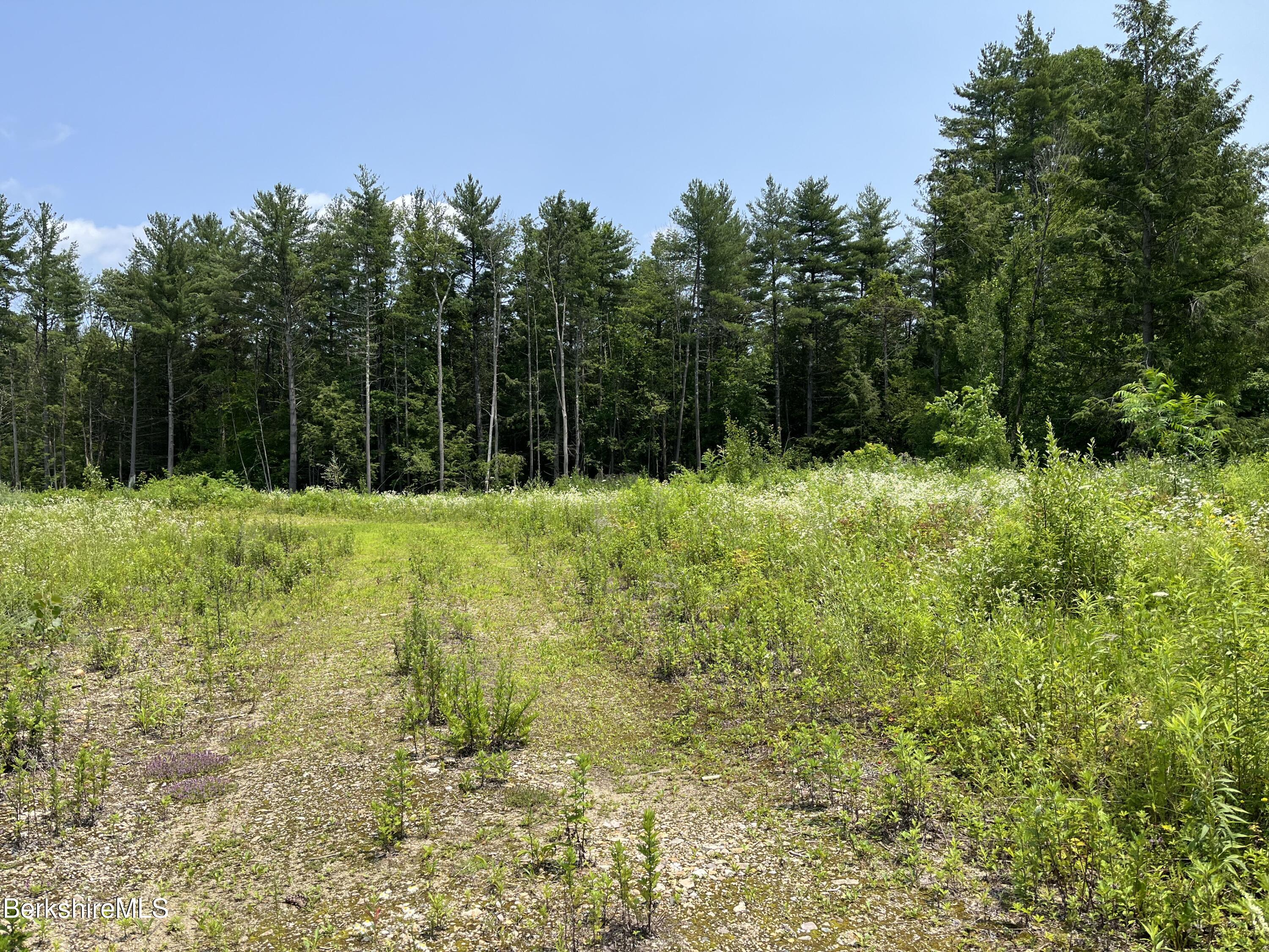 a view of outdoor space with green field and trees all around