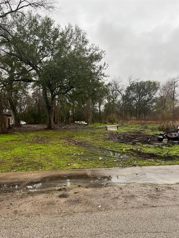 a view of a yard with a trees