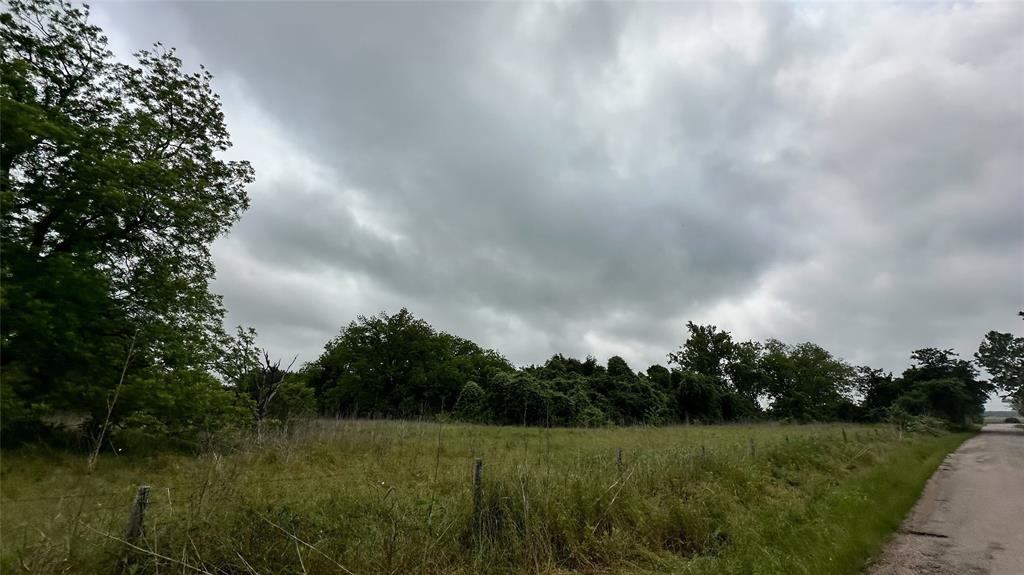 a view of a grassy field