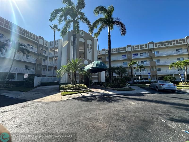 a palm tree sitting in front of a building