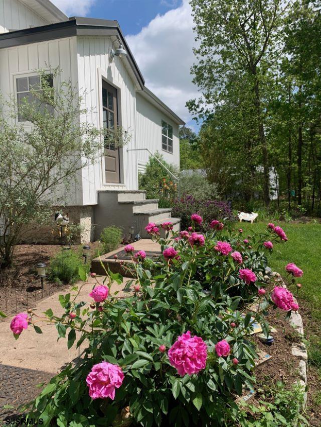 a view of yard with flowers and flowers