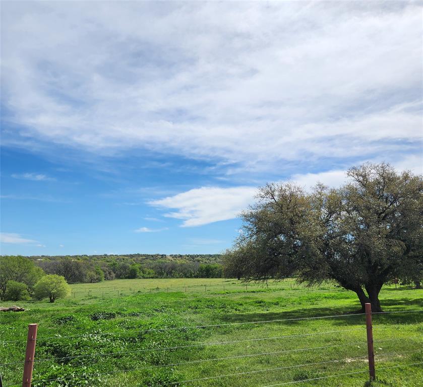 a view of a grassy field with trees