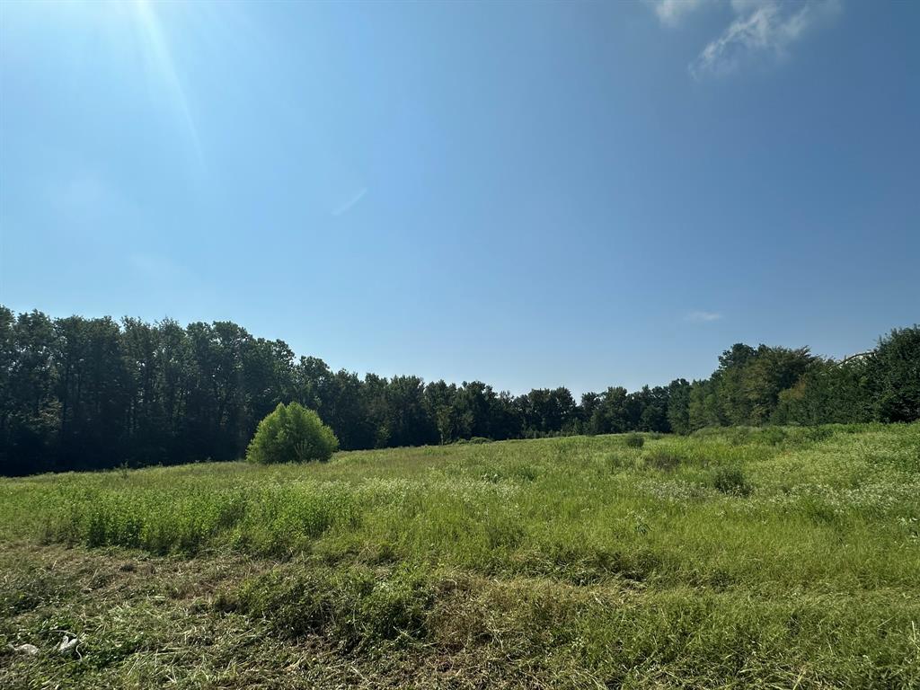 a view of a lush green field