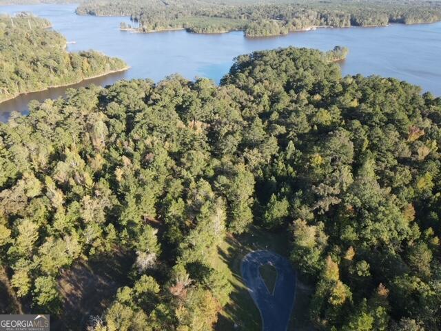 a view of a lake with a tree