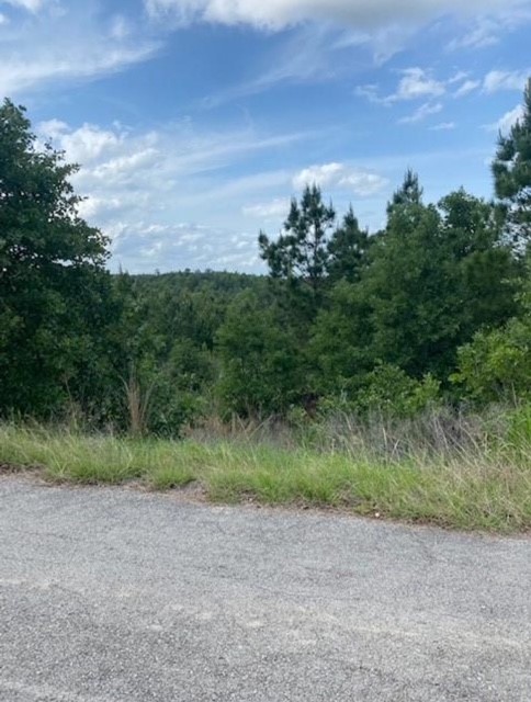 a view of a field with trees in background