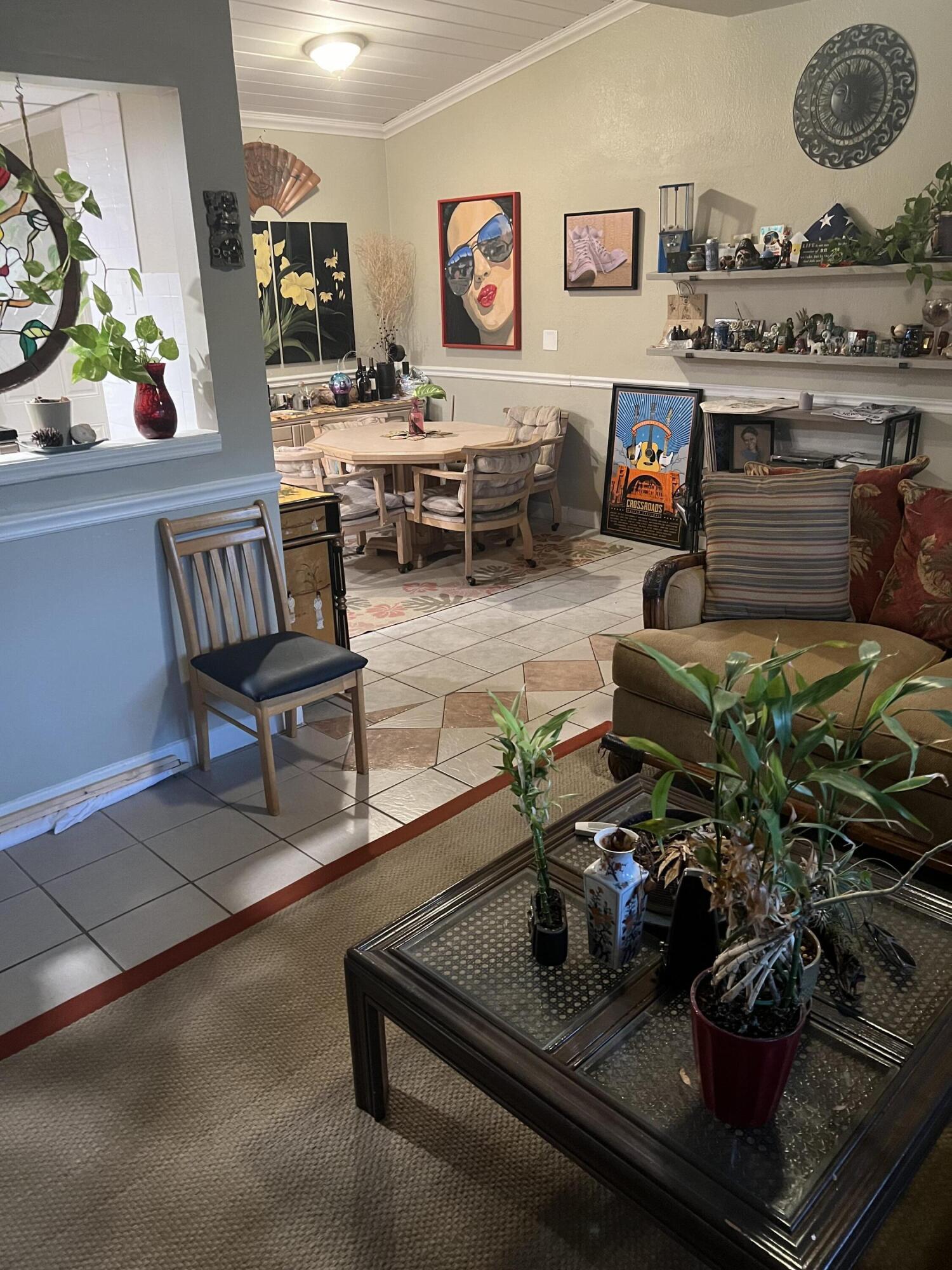 a living room with furniture and a potted plant