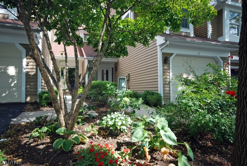 front view of a house with a tree