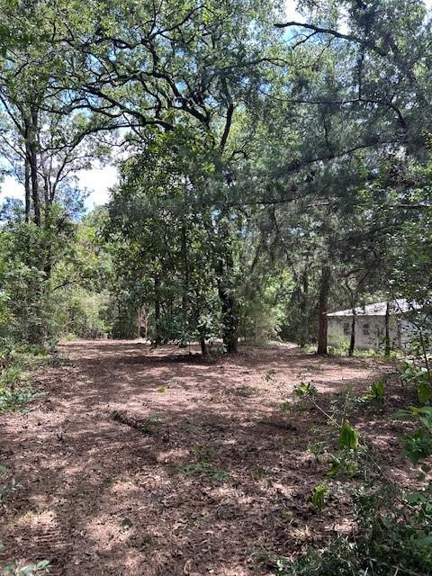 a view of a dirt road and trees