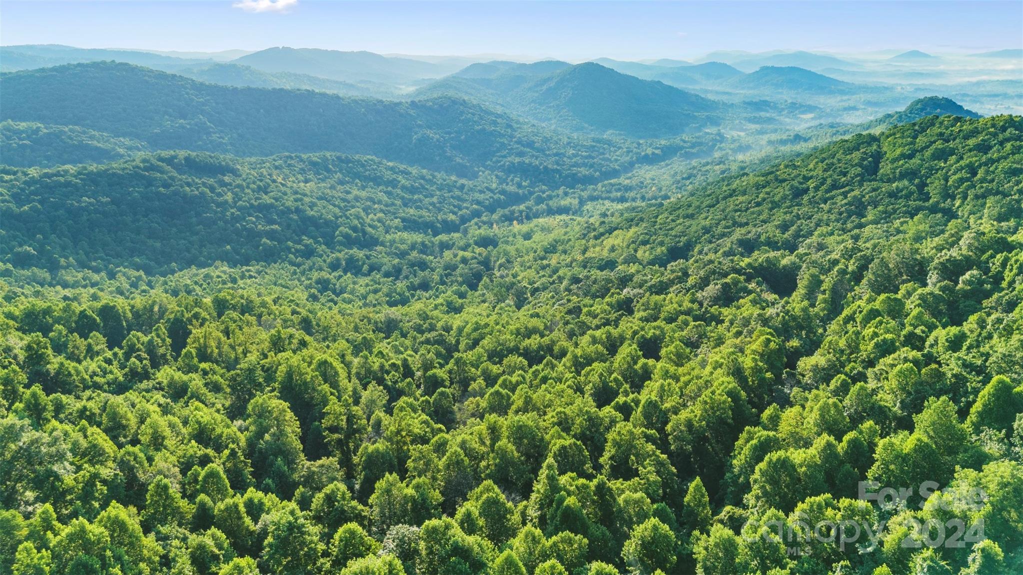 a view of a mountain range with lush green forest