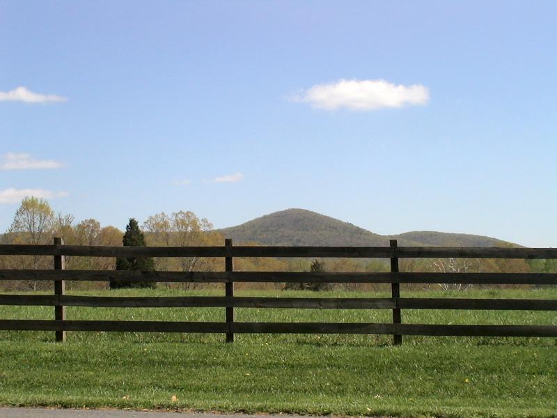 a view of a green field with wooden fence