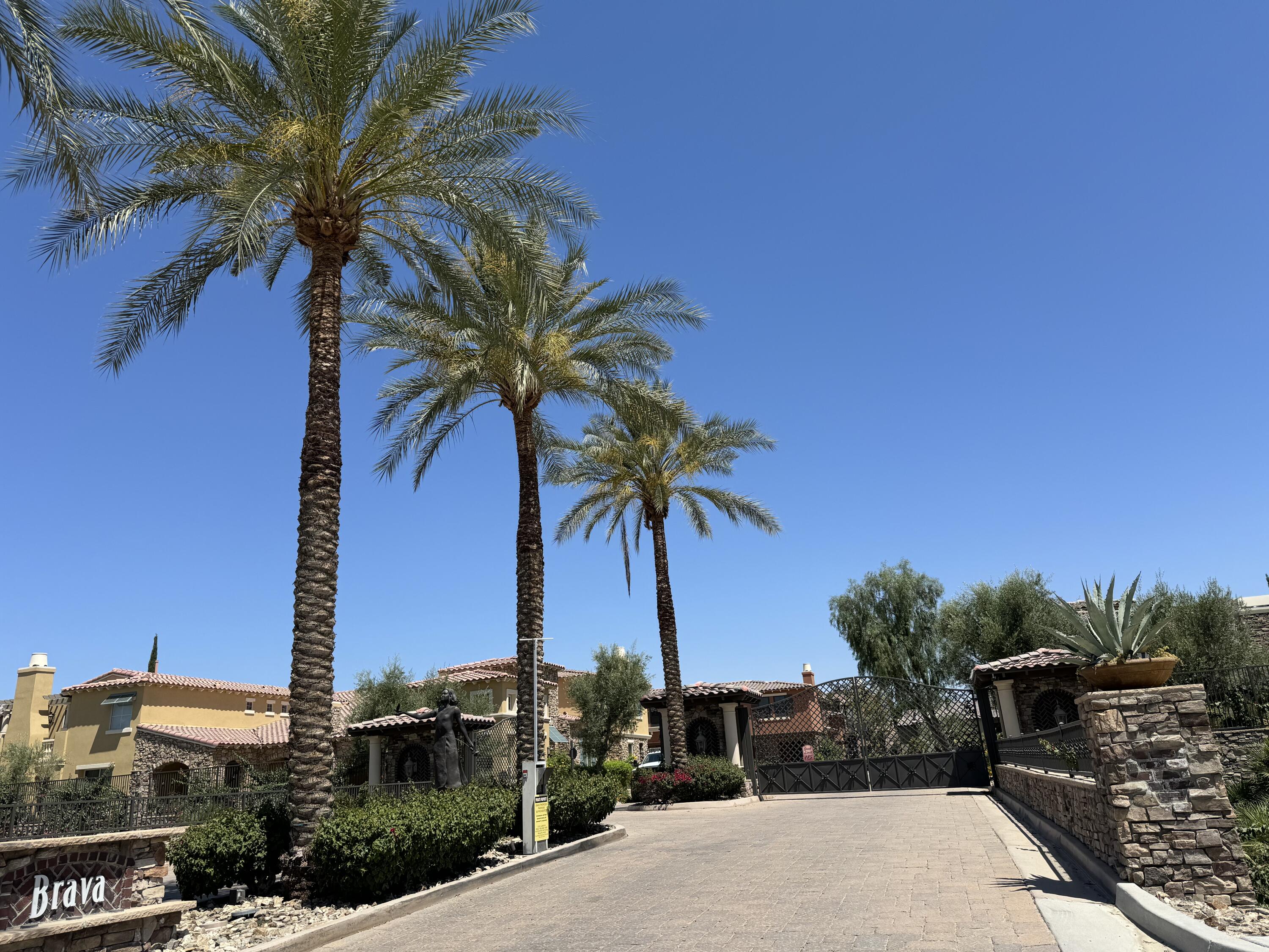 a view of a palm tree with an outdoor space