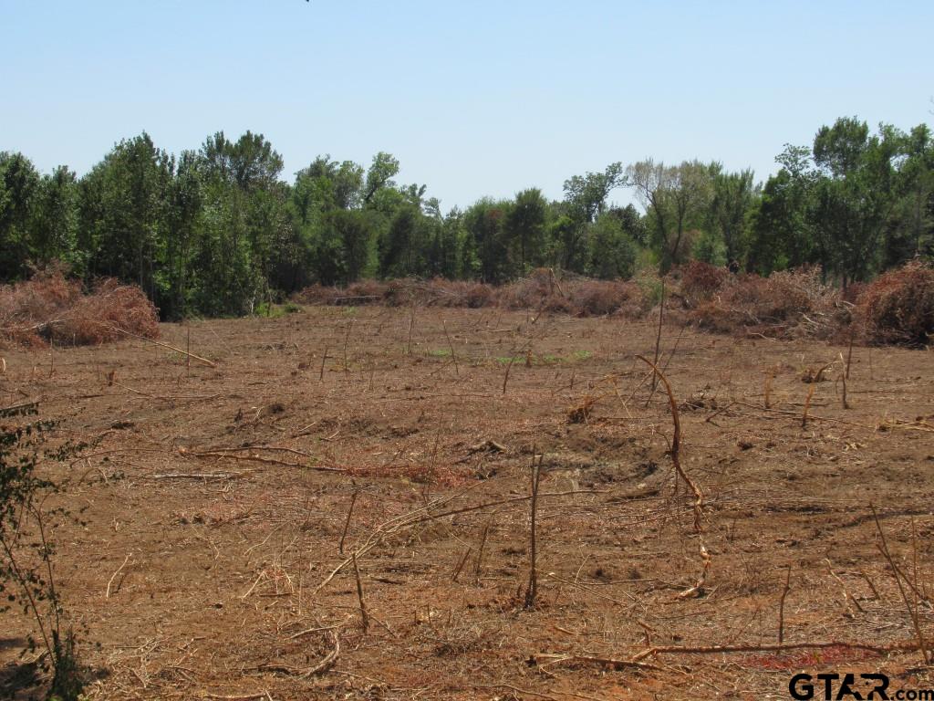 a view of a dry yard with trees in the background