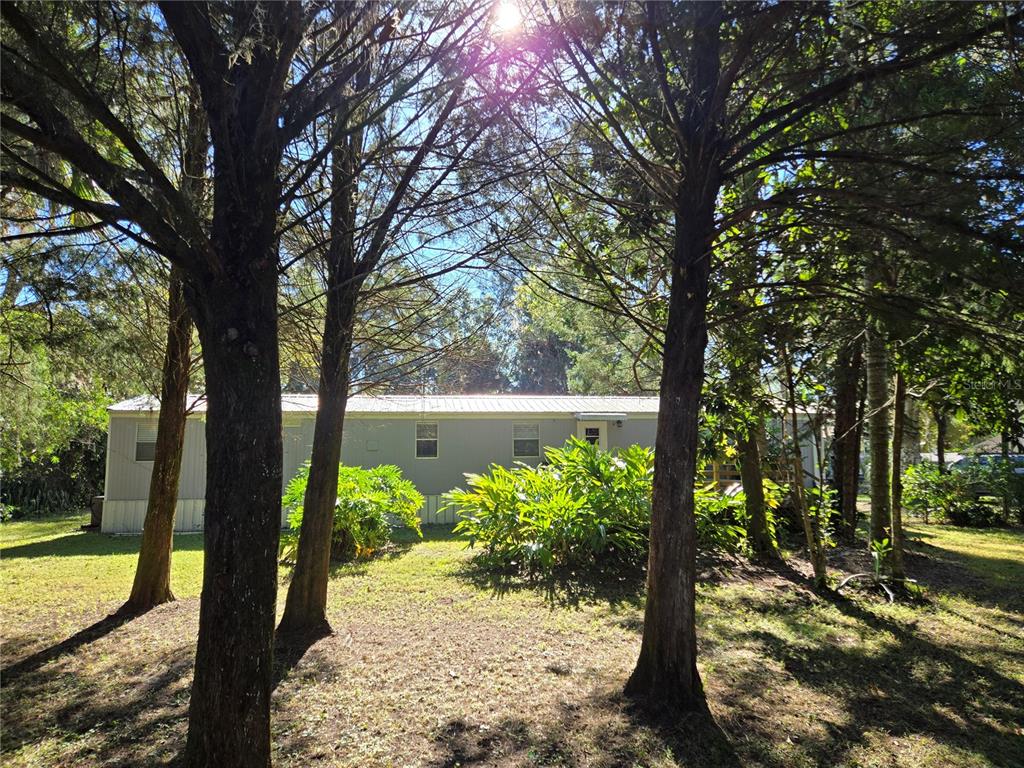 a view of a garden with large tree