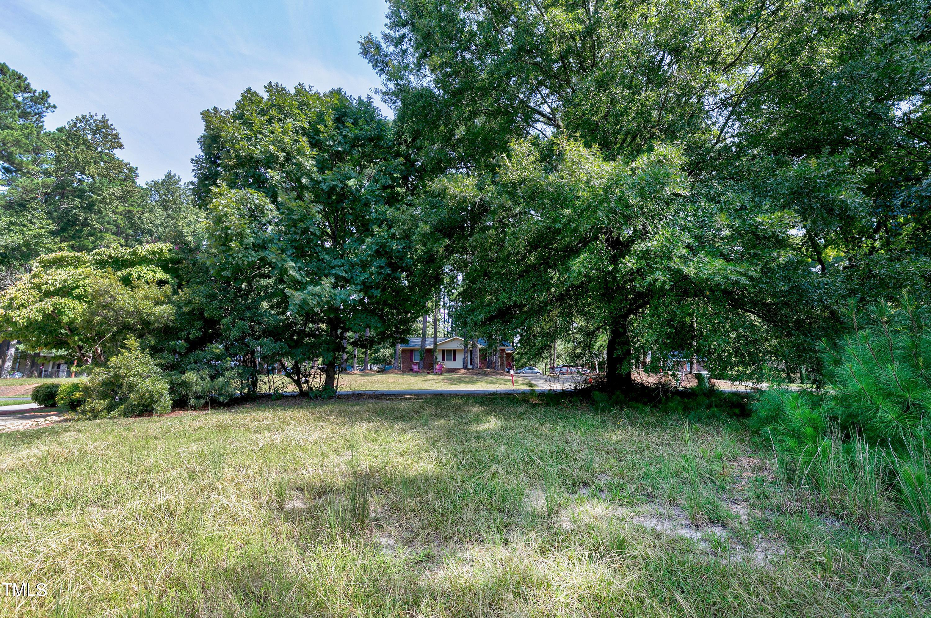 a view of a tree next to a yard