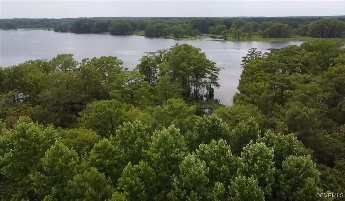 a view of a lake from a yard