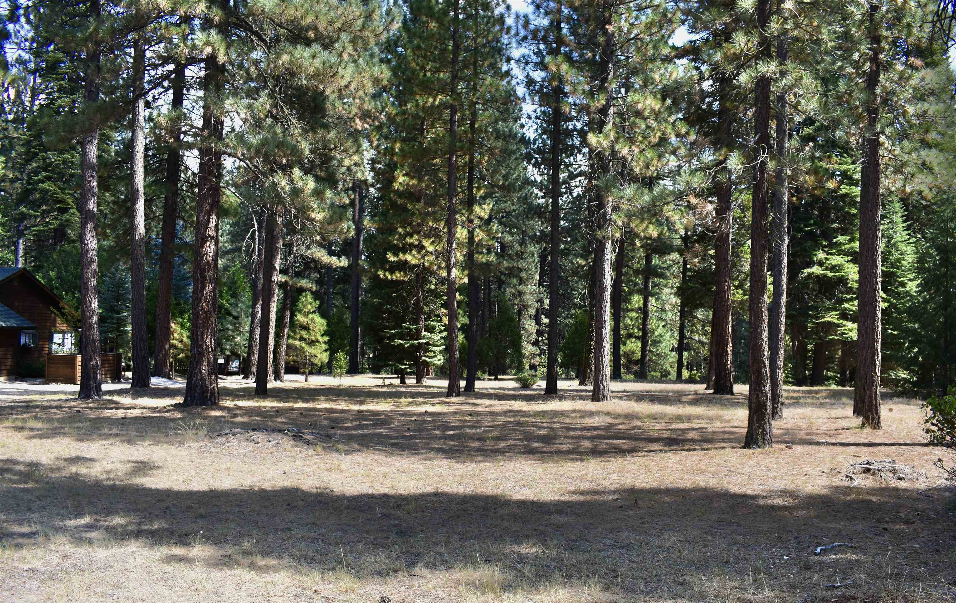 a front view of a building with trees