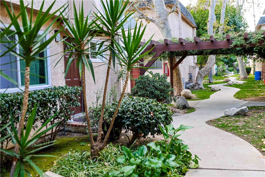 a view of a backyard with plants