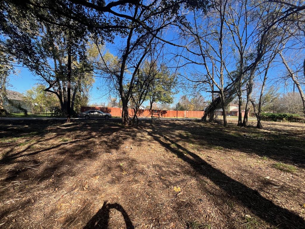 a view of a yard next to a road