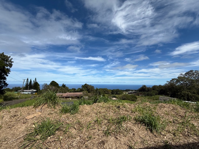 a view of a field with an ocean