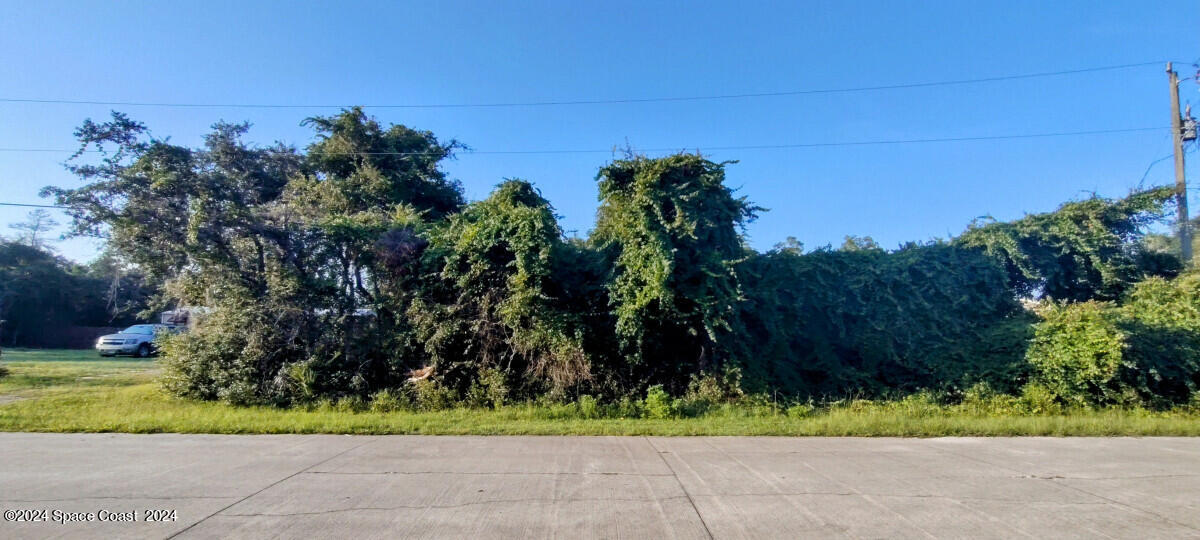 a view of backyard with plants and trees