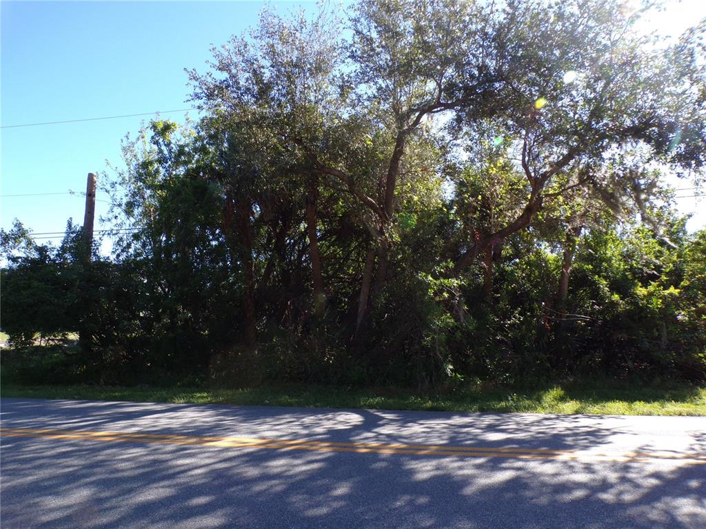 a view of tree with side of a yard