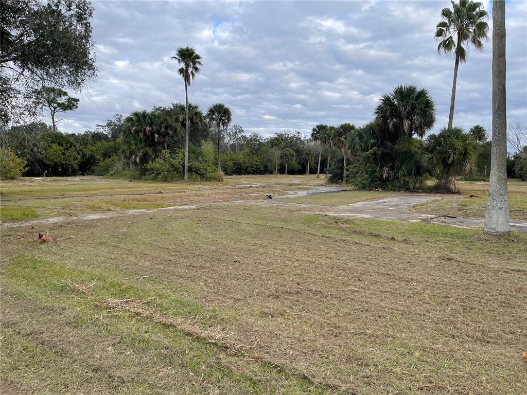 a view of a big yard with palm trees