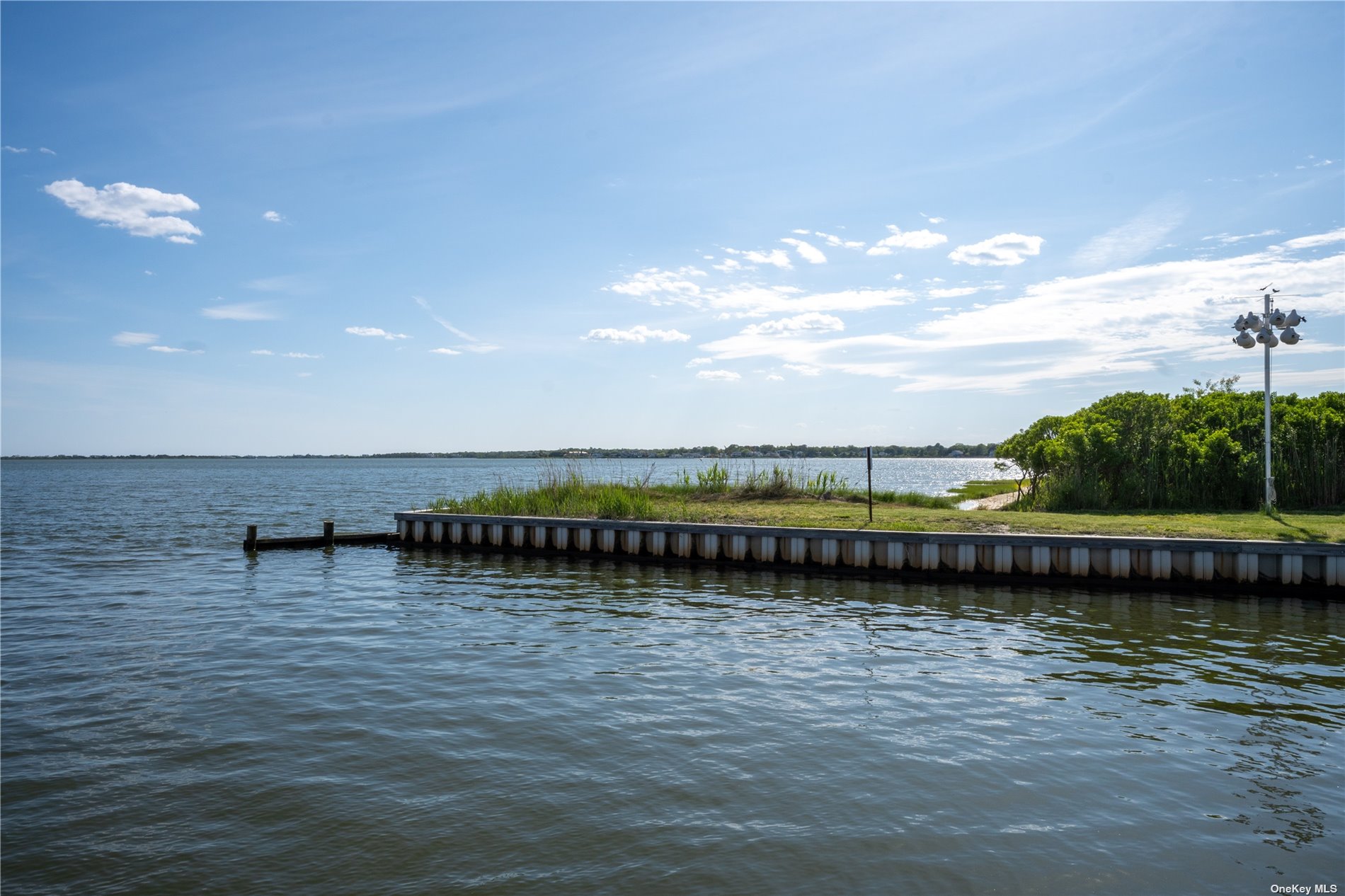 a view of a lake with a city