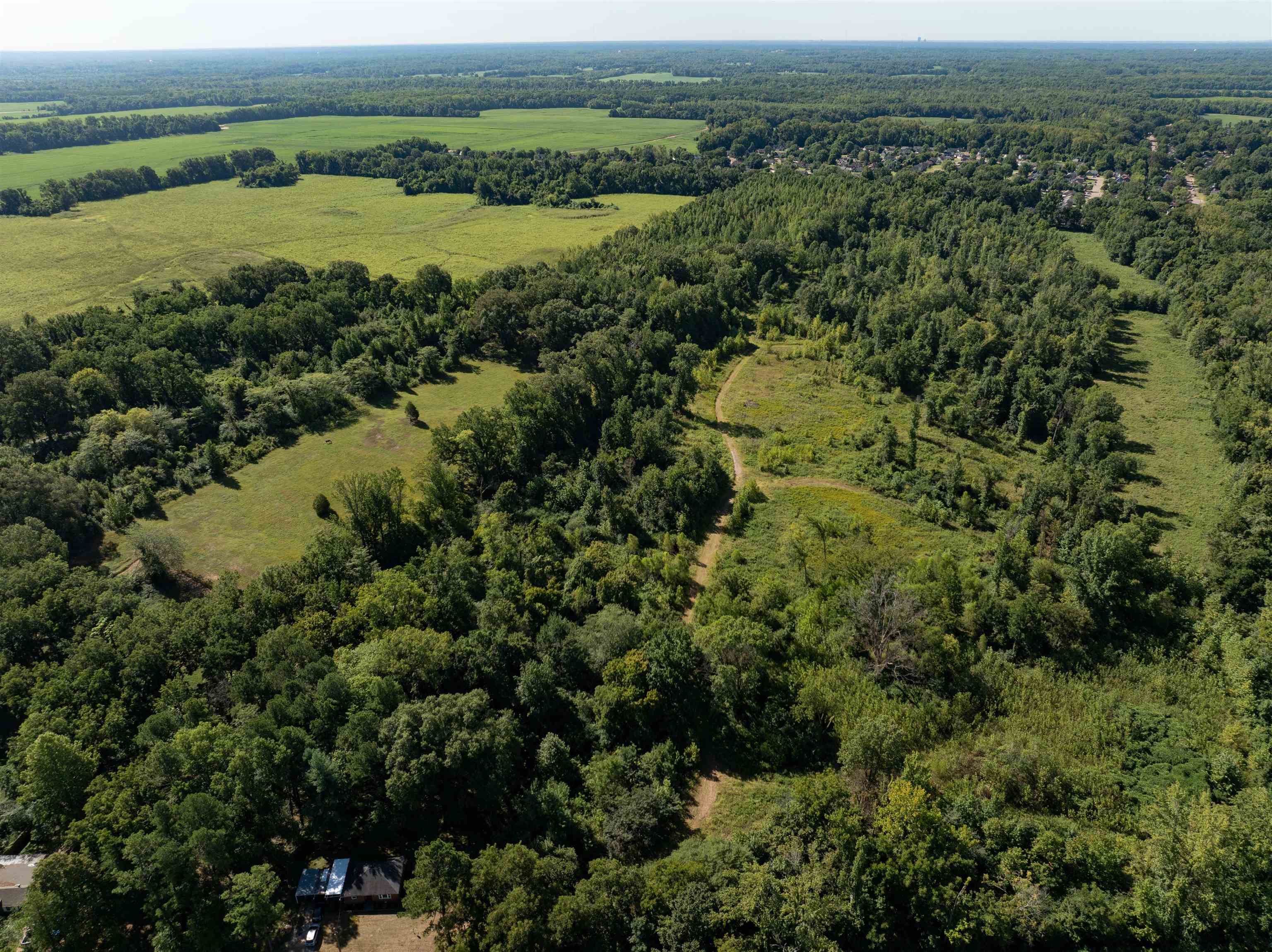 an aerial view of residential houses with outdoor space and trees