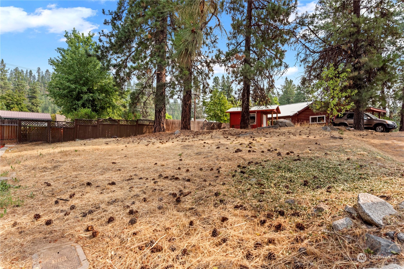 a view of a backyard with a tree