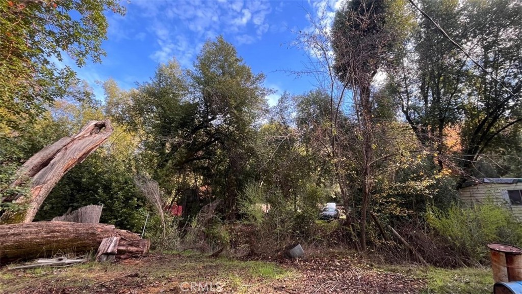 a view of backyard with green space