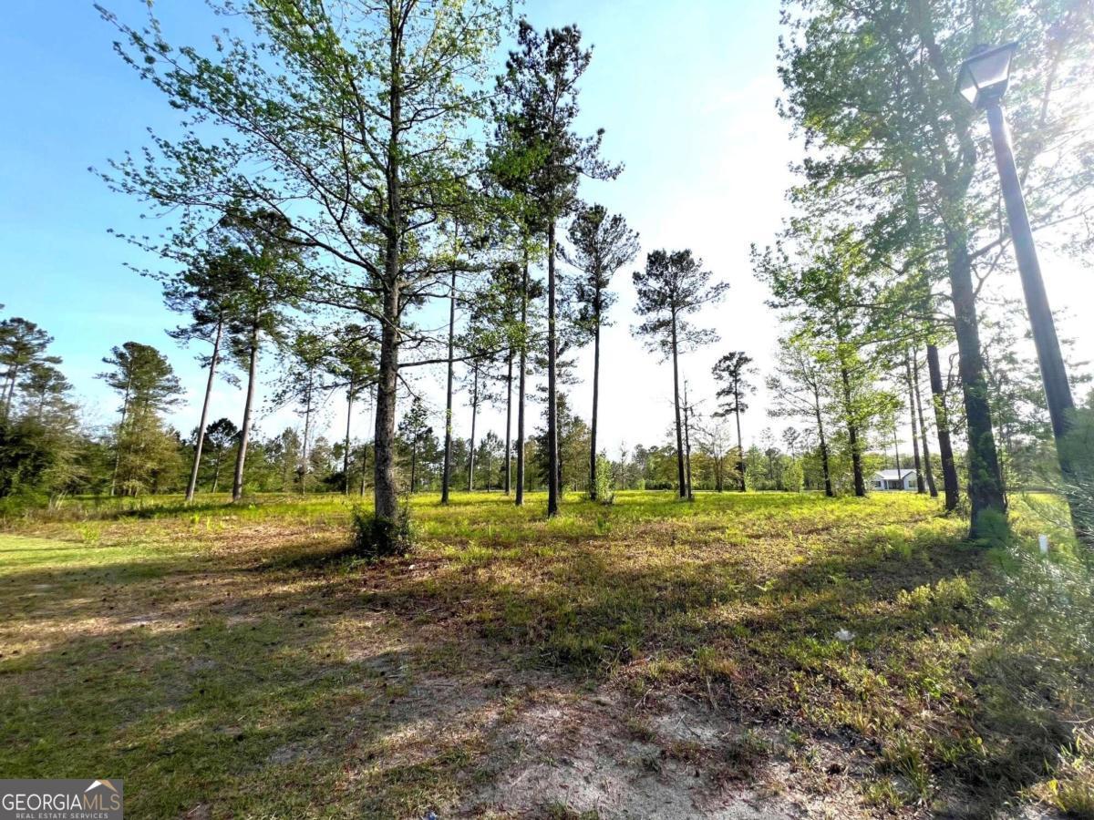 a view of outdoor space with trees all around