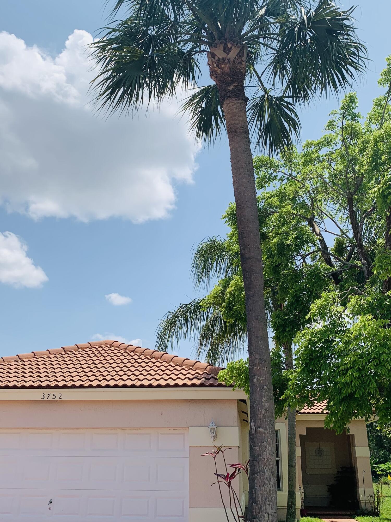 a view of outdoor space with palm trees