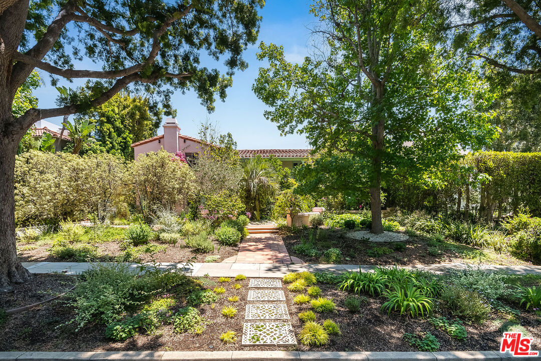 a view of a pathway of a yard