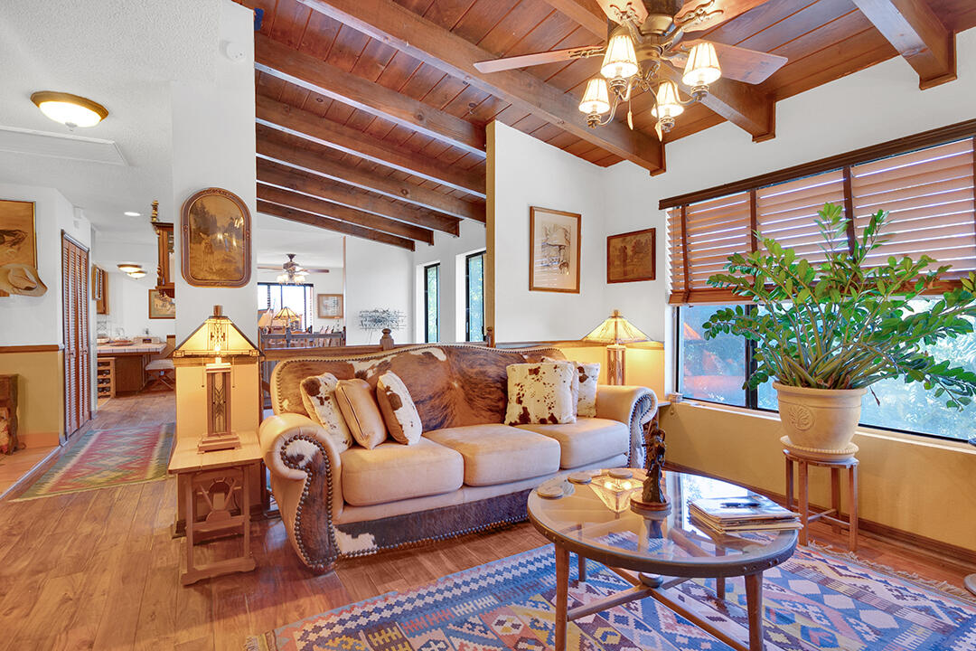 a living room with furniture potted plant and a large window