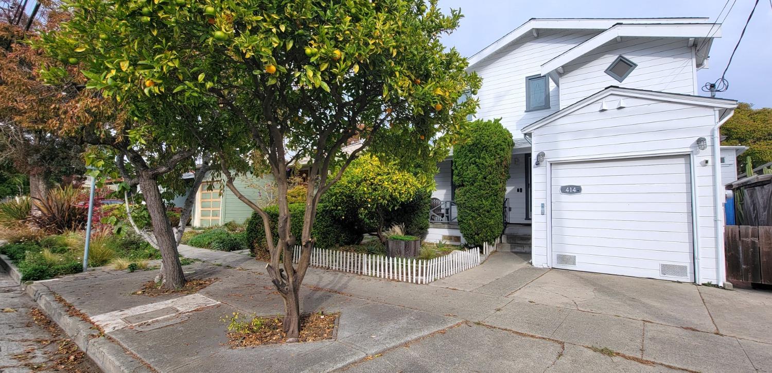 a view of a white house with large tree and wooden fence