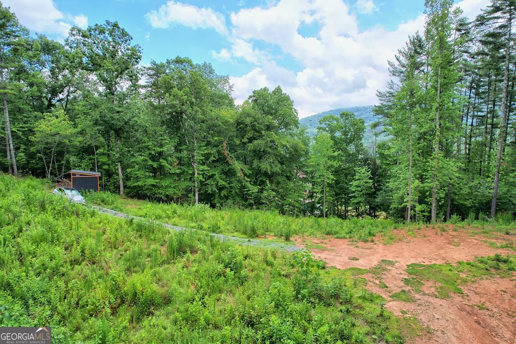 a view of backyard with green space