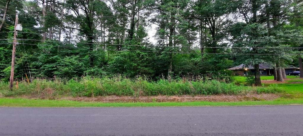 a green field covered with trees