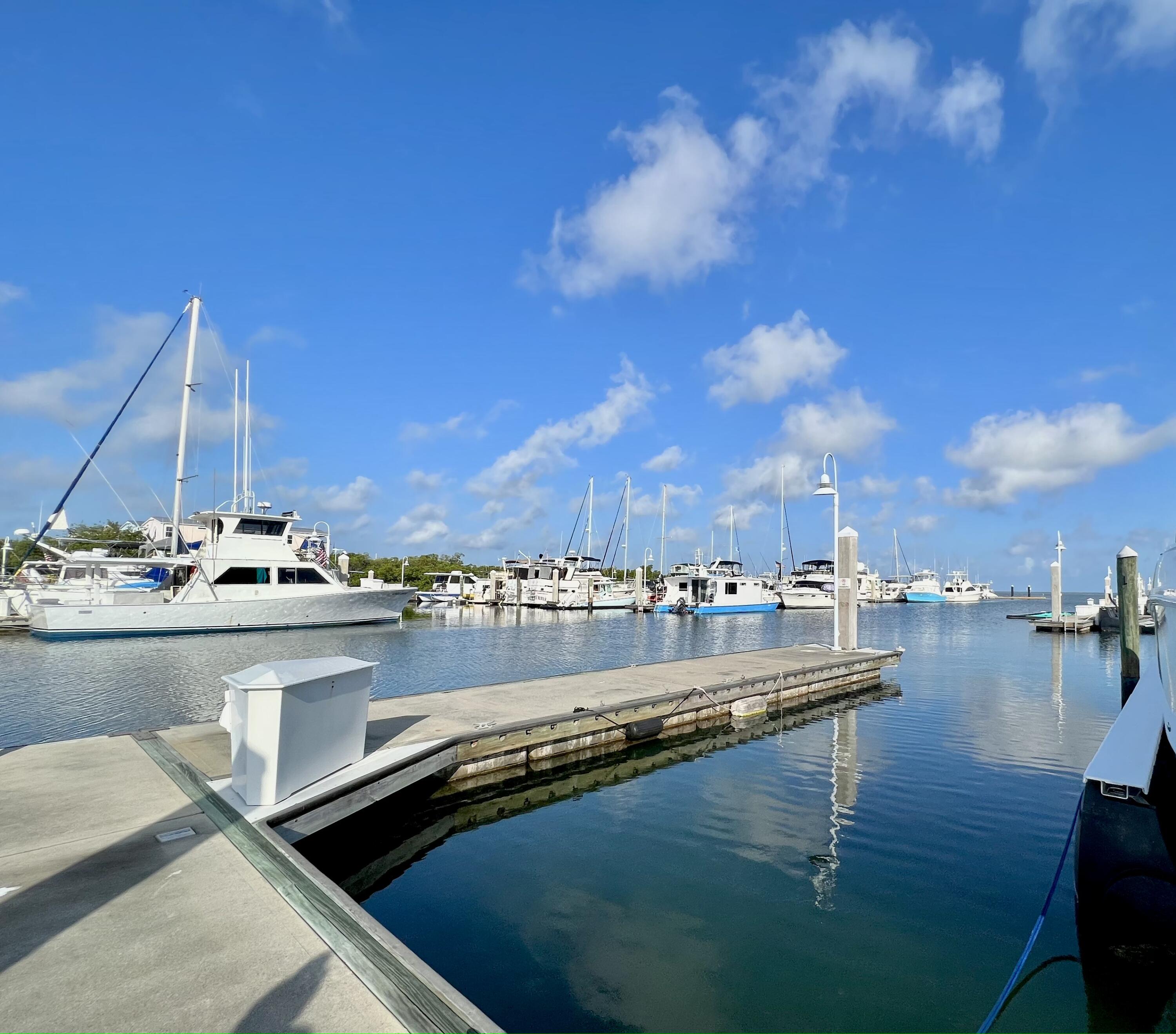 Grouper Pier 8